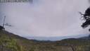 ./images/calvert/fitz-hugh-hecate/20250622/fitz-hugh-hecate20250622_130010M.jpg