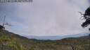 ./images/calvert/fitz-hugh-hecate/20250622/fitz-hugh-hecate20250622_130510M.jpg