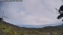 ./images/calvert/fitz-hugh-hecate/20250622/fitz-hugh-hecate20250622_131010M.jpg