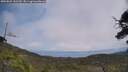 ./images/calvert/fitz-hugh-hecate/20250622/fitz-hugh-hecate20250622_131510M.jpg