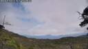 ./images/calvert/fitz-hugh-hecate/20250622/fitz-hugh-hecate20250622_132508M.jpg