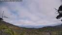 ./images/calvert/fitz-hugh-hecate/20250622/fitz-hugh-hecate20250622_133011M.jpg