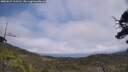 ./images/calvert/fitz-hugh-hecate/20250622/fitz-hugh-hecate20250622_133512M.jpg