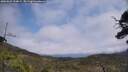 ./images/calvert/fitz-hugh-hecate/20250622/fitz-hugh-hecate20250622_134008M.jpg