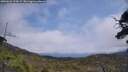 ./images/calvert/fitz-hugh-hecate/20250622/fitz-hugh-hecate20250622_134509M.jpg