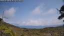 ./images/calvert/fitz-hugh-hecate/20250622/fitz-hugh-hecate20250622_140010M.jpg