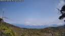 ./images/calvert/fitz-hugh-hecate/20250622/fitz-hugh-hecate20250622_140509M.jpg