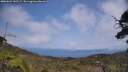 ./images/calvert/fitz-hugh-hecate/20250622/fitz-hugh-hecate20250622_142509M.jpg