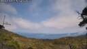 ./images/calvert/fitz-hugh-hecate/20250622/fitz-hugh-hecate20250622_143509M.jpg