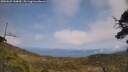 ./images/calvert/fitz-hugh-hecate/20250622/fitz-hugh-hecate20250622_144010M.jpg