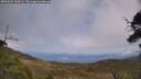 ./images/calvert/fitz-hugh-hecate/20250622/fitz-hugh-hecate20250622_144506M.jpg