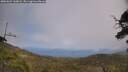./images/calvert/fitz-hugh-hecate/20250622/fitz-hugh-hecate20250622_145008M.jpg