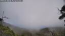 ./images/calvert/fitz-hugh-hecate/20250622/fitz-hugh-hecate20250622_145510M.jpg