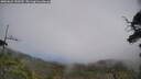 ./images/calvert/fitz-hugh-hecate/20250622/fitz-hugh-hecate20250622_150510M.jpg