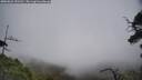 ./images/calvert/fitz-hugh-hecate/20250622/fitz-hugh-hecate20250622_151510M.jpg