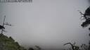 ./images/calvert/fitz-hugh-hecate/20250622/fitz-hugh-hecate20250622_153510M.jpg