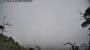 ./images/calvert/fitz-hugh-hecate/20250622/fitz-hugh-hecate20250622_154009M.jpg