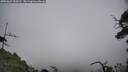 ./images/calvert/fitz-hugh-hecate/20250622/fitz-hugh-hecate20250622_154510M.jpg