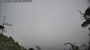 ./images/calvert/fitz-hugh-hecate/20250622/fitz-hugh-hecate20250622_164510M.jpg