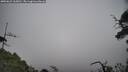 ./images/calvert/fitz-hugh-hecate/20250622/fitz-hugh-hecate20250622_165010M.jpg