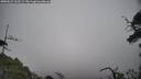 ./images/calvert/fitz-hugh-hecate/20250622/fitz-hugh-hecate20250622_165509M.jpg