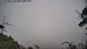 ./images/calvert/fitz-hugh-hecate/20250622/fitz-hugh-hecate20250622_170510M.jpg