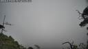 ./images/calvert/fitz-hugh-hecate/20250622/fitz-hugh-hecate20250622_172510M.jpg