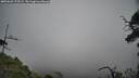 ./images/calvert/fitz-hugh-hecate/20250622/fitz-hugh-hecate20250622_173508M.jpg