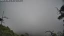 ./images/calvert/fitz-hugh-hecate/20250622/fitz-hugh-hecate20250622_175006M.jpg
