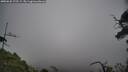 ./images/calvert/fitz-hugh-hecate/20250622/fitz-hugh-hecate20250622_175509M.jpg