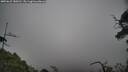 ./images/calvert/fitz-hugh-hecate/20250622/fitz-hugh-hecate20250622_180510M.jpg