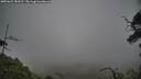 ./images/calvert/fitz-hugh-hecate/20250622/fitz-hugh-hecate20250622_183510M.jpg