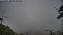 ./images/calvert/fitz-hugh-hecate/20250622/fitz-hugh-hecate20250622_184510M.jpg