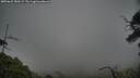 ./images/calvert/fitz-hugh-hecate/20250622/fitz-hugh-hecate20250622_185509M.jpg