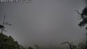 ./images/calvert/fitz-hugh-hecate/20250622/fitz-hugh-hecate20250622_190009M.jpg