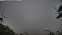 ./images/calvert/fitz-hugh-hecate/20250622/fitz-hugh-hecate20250622_191008M.jpg
