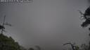 ./images/calvert/fitz-hugh-hecate/20250622/fitz-hugh-hecate20250622_191508M.jpg