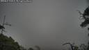 ./images/calvert/fitz-hugh-hecate/20250622/fitz-hugh-hecate20250622_192008M.jpg