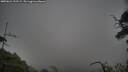 ./images/calvert/fitz-hugh-hecate/20250622/fitz-hugh-hecate20250622_192508M.jpg