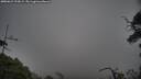 ./images/calvert/fitz-hugh-hecate/20250622/fitz-hugh-hecate20250622_193009M.jpg