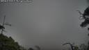 ./images/calvert/fitz-hugh-hecate/20250622/fitz-hugh-hecate20250622_193508M.jpg
