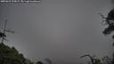 ./images/calvert/fitz-hugh-hecate/20250622/fitz-hugh-hecate20250622_194009M.jpg