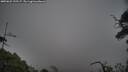 ./images/calvert/fitz-hugh-hecate/20250622/fitz-hugh-hecate20250622_195507M.jpg