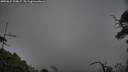 ./images/calvert/fitz-hugh-hecate/20250622/fitz-hugh-hecate20250622_200007M.jpg