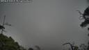 ./images/calvert/fitz-hugh-hecate/20250622/fitz-hugh-hecate20250622_200508M.jpg
