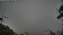 ./images/calvert/fitz-hugh-hecate/20250622/fitz-hugh-hecate20250622_201009M.jpg