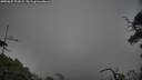 ./images/calvert/fitz-hugh-hecate/20250622/fitz-hugh-hecate20250622_203008M.jpg