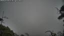 ./images/calvert/fitz-hugh-hecate/20250622/fitz-hugh-hecate20250622_203507M.jpg
