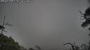 ./images/calvert/fitz-hugh-hecate/20250622/fitz-hugh-hecate20250622_204009M.jpg