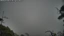 ./images/calvert/fitz-hugh-hecate/20250622/fitz-hugh-hecate20250622_204509M.jpg